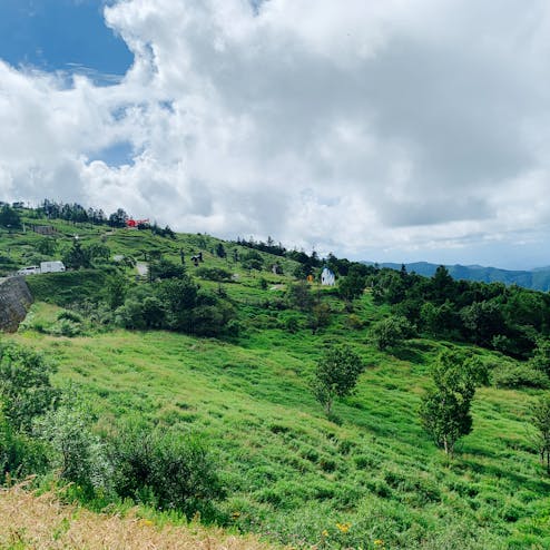 ビーナスライン
