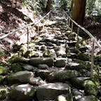熊野磨崖仏

鳥居から熊野磨崖仏まで続く100段もの石段は、昔、鬼が築いたと伝えられています。

此の石段はお年寄りが登ると言う事を鬼は考えず作りましたね👹😅まず足の悪い方は登れません、普通の方でも、雨が降りは無理ですね、滑ります。

#サント船長の写真　#磨崖仏  #日本の寺院仏閣