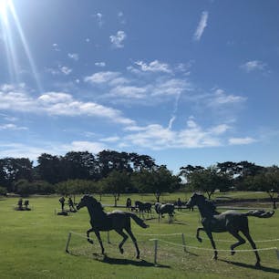 青森
道の駅みさわ