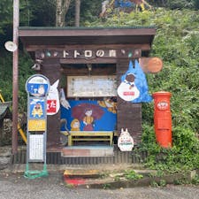 トトロの森　(米原市)

トトロの森のバス停留所はバスは来ません、多分心の澄んだ清らかな子供達の夢の「猫バス」が来るバス停なんでしようね、しかし
面白いですね♪


#サント船長の写真　#トトロの森　#滋賀県