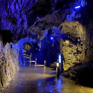 控えめな照明だけど照らし方が上手な龍泉洞。でも普通のカメラだとうまく写らないようで、iPhoneのナイトモードだときれいに撮れます。むしろ肉眼で見るより写真のほうがきれい👀