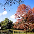 New York / Manhattan
Central Park
秋の初めのニューヨーク。セントラルパークの木々が色づき始めます。
#newyork #manhattan #centralpark