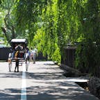 「みちのくの小京都」角館
人力車に乗って武家屋敷通りを散策