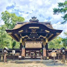 京都の豊国神社に行きました

天下人の豊臣秀吉が祀られています