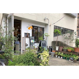 みどりがいっぱいの「fete cafe」。