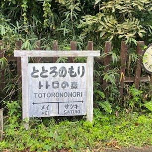 トトロの森

#サント船長の写真　#トトロの森　#滋賀県