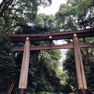 原宿から新宿までお散歩がてら
歩いてるだけでパワーチャージ
#明治神宮　#御朱印巡り