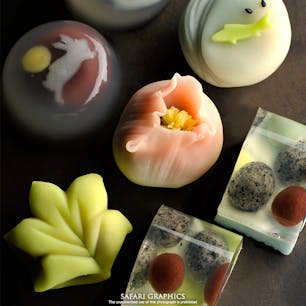 札幌の裏参道で四代続く老舗和菓子店「嘉心（かしん）」は、百余年の歴史を誇る和菓子の名店。見た目にも四季が感じられる上生菓子や季節のお菓子はまるで芸術作品のよう。お土産にもお使い物にも喜ばれる逸品揃いで、早い時間に売り切れてしまうこともあるほどの人気店です！ #北海道 #札幌 #嘉心