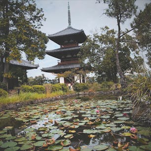 田畑に囲まれた緑豊かなお寺です