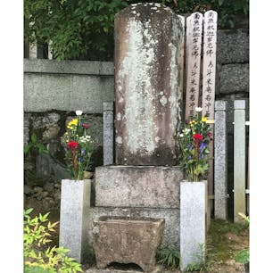 伊藤若冲の墓

#サント船長の写真  #歴史的人物の墓  #墓地