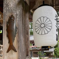 その本堂には鯉
「精進落としの鯉」で、巡礼の旅を終え俗世に戻る為に鯉に触るのです。