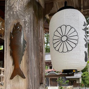 その本堂には鯉
「精進落としの鯉」で、巡礼の旅を終え俗世に戻る為に鯉に触るのです。