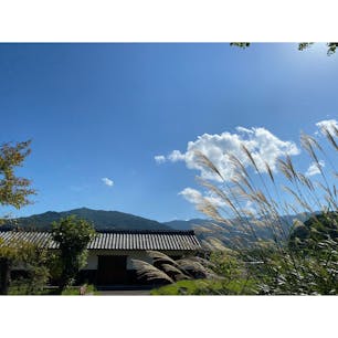 明日香村　橘寺　土曜日の朝