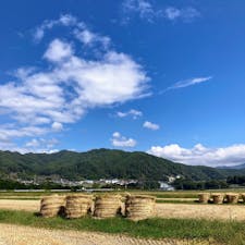 長野県伊那市（高遠町）
稲刈り後の田んぼ