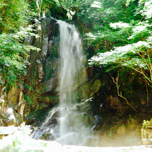 2018/07/21
桃尾の滝.‎˖٭*