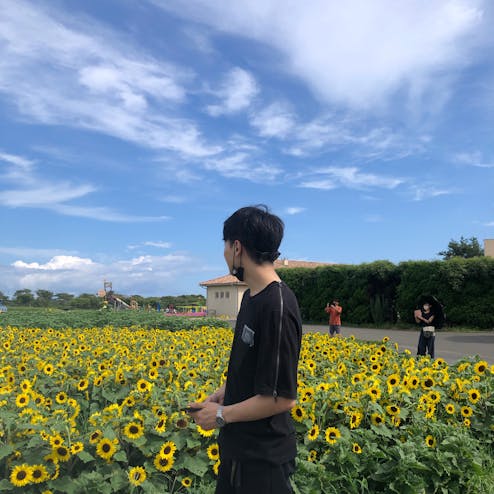 長井海の手公園 ソレイユの丘