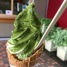【静岡県 伊豆】ぐり茶の杉山
ソフトクリームが最高においしい