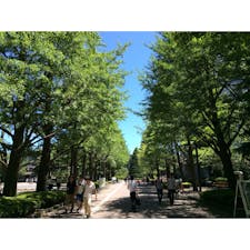 【東京都/渋谷】
青山学院大学
夏は緑🌿秋は黄🍁