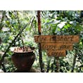 初めて訪れたバリ島でチャーター利用して色々な所に連れて行ってもらいました🍃
ネコの💩からできる稀少なコーヒーを飲んでみたけど、ブラックでも飲みやすくて美味しい！！
この写真もなかなか上手に撮れてると思いません？😉
バリ島おすすめです！
#バリ島#コーヒー#ブランコ