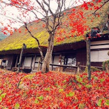 2017.11.15
🏕:飛騨の里(岐阜県高山市)
📷:OLYMPUS PEN Lite E-PL7