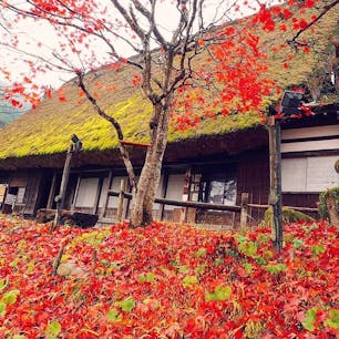 2017.11.15
🏕:飛騨の里(岐阜県高山市)
📷:OLYMPUS PEN Lite E-PL7