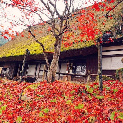飛騨民俗村・飛騨の里