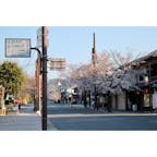 2019/04/04
嵐山.‎˖٭*