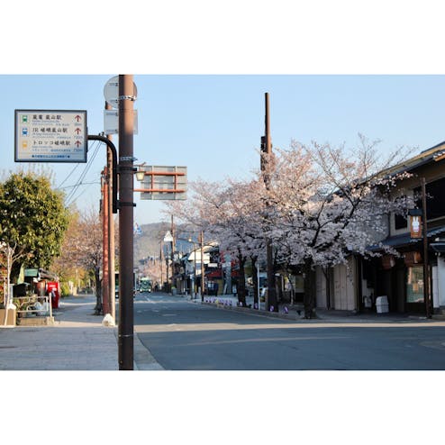 嵐山・嵯峨野・太秦・桂