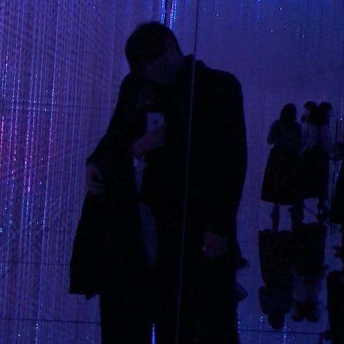 【閉業】森ビルデジタルアートミュージアム エプソンチームラボ ボーダレス