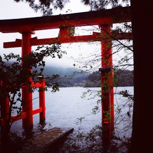 湖沿いの赤い鳥居の下で皆んながポーズをとり撮影している！芦ノ湖湖畔の箱根神社に参拝者は多い。鳥居から山側に一直線に登ると本殿がある！階段がかなりあるのも痛快である。