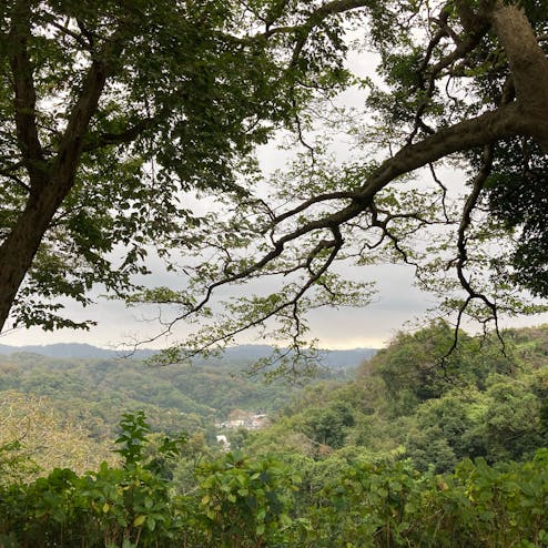 葛原岡・大仏ハイキングコース（浄智寺口）