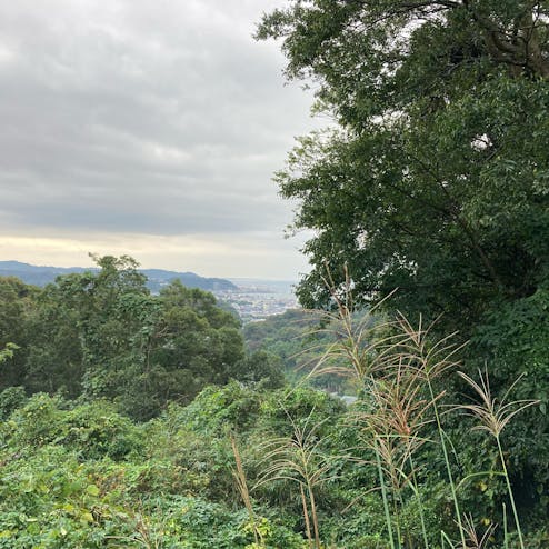 葛原岡・大仏ハイキングコース（浄智寺口）