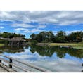 日本庭園って凄いなぁ…。

入り組んだ地形に掛かってる橋を渡るのとか、
池に写った空の写真を撮るのとか、
彦根城をまた別の角度と大きさで見るのとかが楽しかった！

あと思ってた数倍広い( Ꙭ)                              2021/10/18