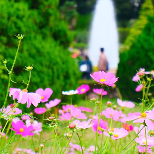 京都府立植物園