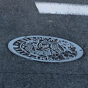 バスからこんにちはの我孫子
つづじとオオバンオシドリ