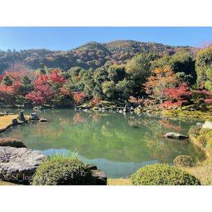 紅葉の世界遺産、天龍寺