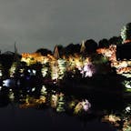 旅ログ　第14回
19.11.26 肥後細川庭園

住宅街の中にある庭園です。ライトアップ今年も見に行けたら良いですね。