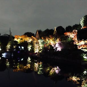 旅ログ　第14回
19.11.26 肥後細川庭園

住宅街の中にある庭園です。ライトアップ今年も見に行けたら良いですね。