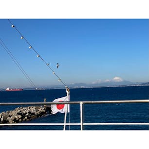 #東京湾フェリー