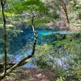 青森と秋田の県境
沸壺の池