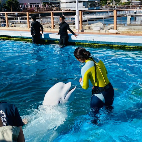 横浜・八景島シーパラダイス