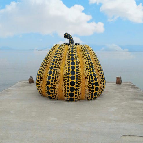 南瓜(黄かぼちゃ)