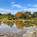 山王山温泉瑞泉郷の庭の池。

この日は天気も良く、風もなかったので水面に景色が反射して綺麗でした。

露天風呂から見える景色もよかったです♨️