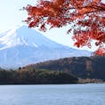 秋の富士山。河口湖と紅葉、そして雪化粧した富士山は日本の風景そのもの⁉️