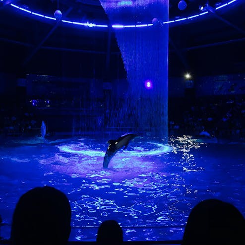 マクセル アクアパーク 品川