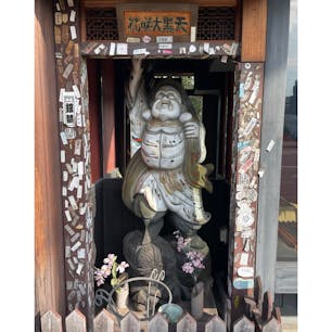 花咲大黒天


#サント船長の写真　#小さな祠