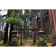 苔の里には、杉の木に囲まれた神社もありました。

#石川県