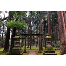 苔の里には、杉の木に囲まれた神社もありました。

#石川県