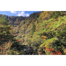 石川県の穴場の紅葉スポット「荒俣峡」。紅葉にはまだ少し早かったけど、川まで行けて、空気も美味しくて気持ちがよかった。

#石川県　#紅葉