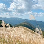 〰️Osaka🇯🇵〰️
#大阪#河内長野#岩湧山#ススキ